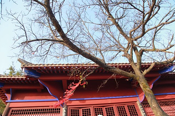 绿林山风景区第 66 张图片