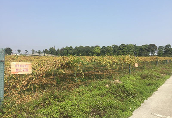 东莞百香岛生态农业旅游区第 8 张图片