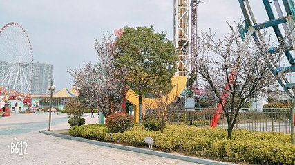 蚌埠嘉年华第 36 张图片