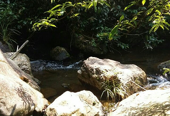 黄金沟森林旅游景区第 9 张图片