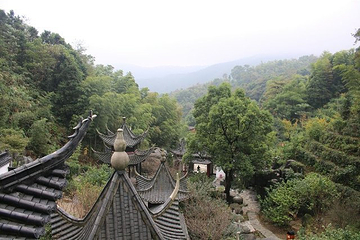 梅岭太阳谷大型梅花文化节第 20 张图片