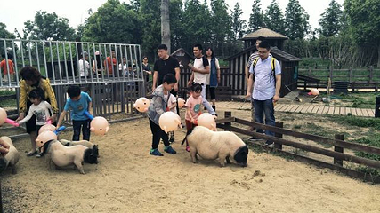 田园东方第 28 张图片