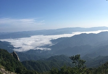 湖北大老岭国家级自然保护区第 19 张图片