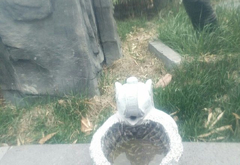 揽翠湖天沐温泉度假村第 65 张图片