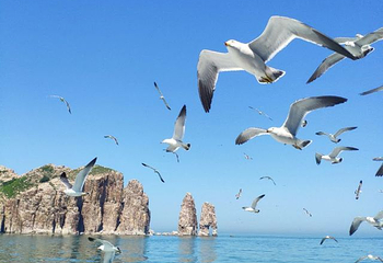 长岛海上游第 45 张图片