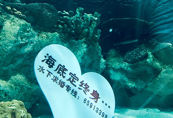 富国海底世界第 55 张图片