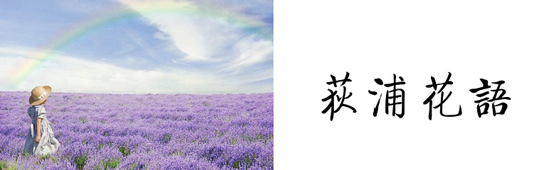 荻浦村第 13 张图片