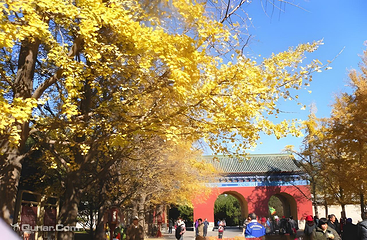 天坛公园第 64 张图片