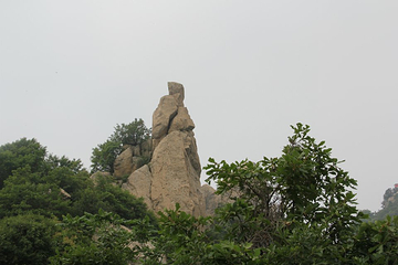 翠华山·秦岭终南山世界地质公园第 102 张图片