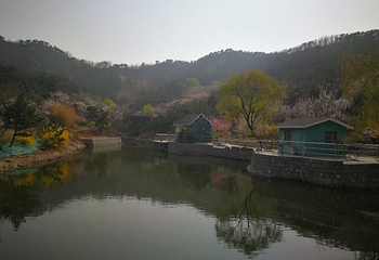 十梅庵风景区第 18 张图片