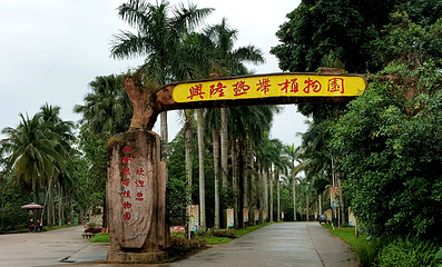 兴隆热带植物园第 87 张图片