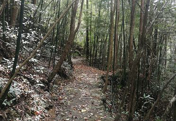三爪仑观音岩第 8 张图片