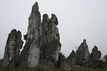 泥凼石林风景区第 12 张图片