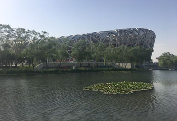 鸟巢空中走廊第 15 张图片