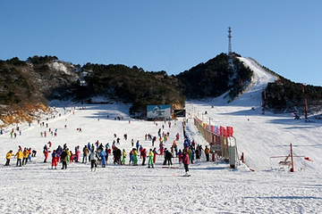 青青冰雪乐园第 7 张图片
