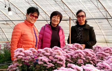 梦泉旅游区第 10 张图片