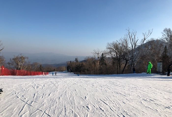 亚布力新体委高山观光索道第 25 张图片