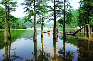 桃源生态旅游区第 10 张图片