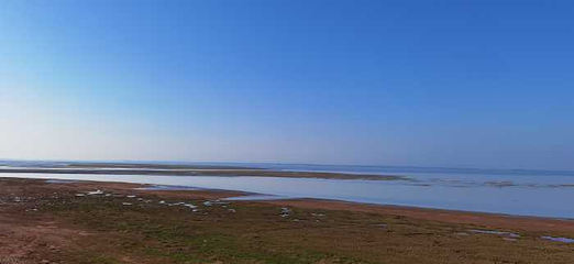 鄱阳湖国家湿地公园第 56 张图片