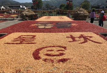 古徽州文化旅游区第 29 张图片