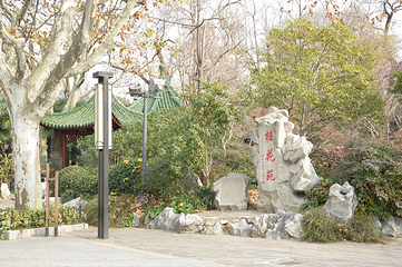 长风公园第 20 张图片