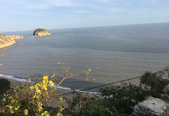 蛤蜊岛第 35 张图片