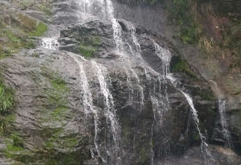 东天目山景区第 39 张图片