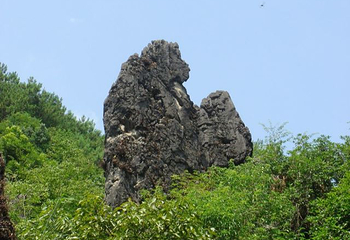 鳞隐石林第 27 张图片