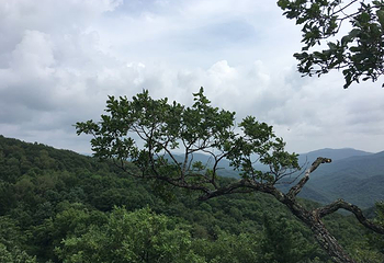 松峰山景区第 72 张图片