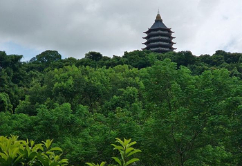 谢鞋山第 10 张图片