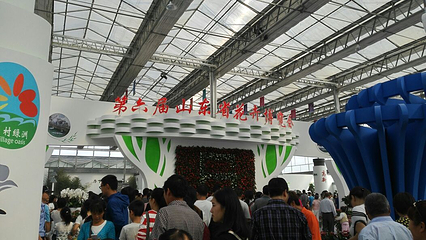 第六届山东花博会第 12 张图片
