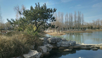 海淀公园第 12 张图片