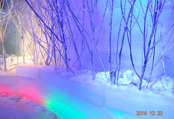 长津冰雪梦幻王国第 48 张图片