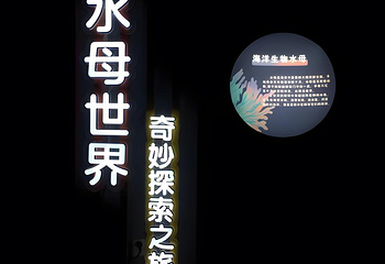 南京海底世界第 90 张图片