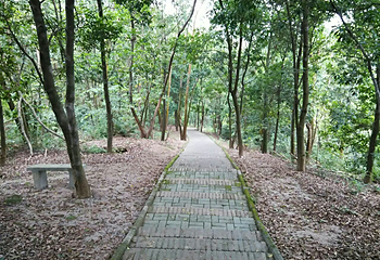 象头山国家级自然保护区第 5 张图片