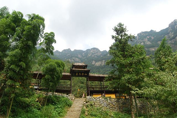 神龙川风景区第 61 张图片