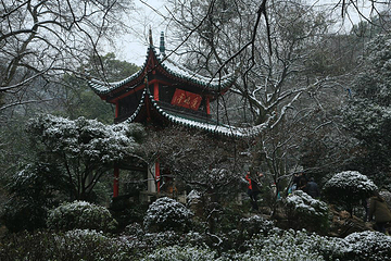 岳麓山第 123 张图片
