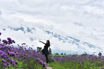 花语牧场第 24 张图片