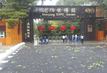 沈阳植物园第 119 张图片