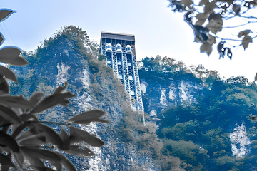 张家界大峡谷第 180 张图片