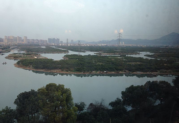 三垟湿地第 19 张图片