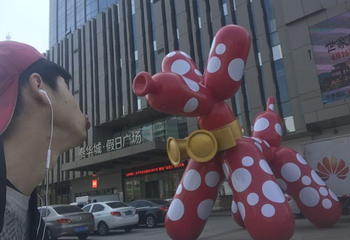 白浪明珠梦幻乐园第 9 张图片