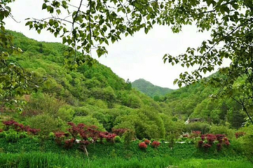 悠然山旅游度假区第 103 张图片