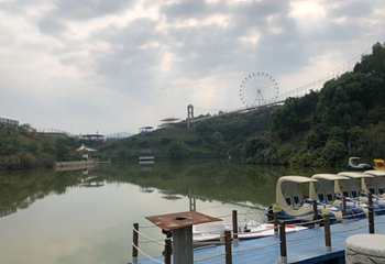 信宜莲花湖庄园第 42 张图片