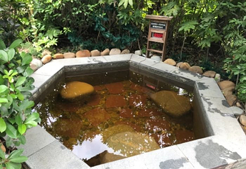 九天温泉第 13 张图片