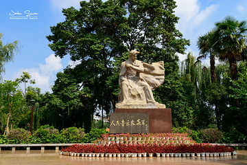 翠湖公园第 37 张图片