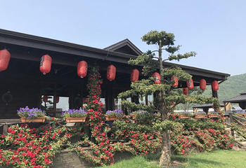 太湖·修心谷第 60 张图片