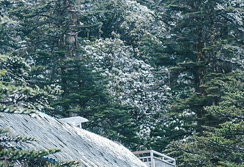 中国贡嘎山海螺沟第 114 张图片