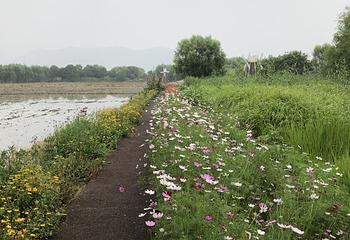 长兴太湖图影湿地文化园第 82 张图片