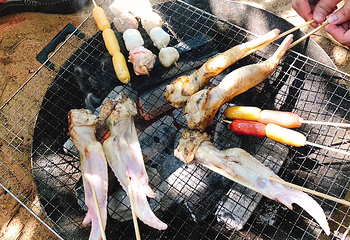 大树岛第 14 张图片